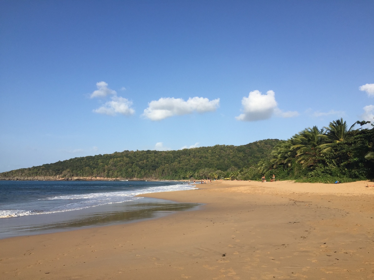 Photo Guadeloupe Plage de la Perle 2021-02 26