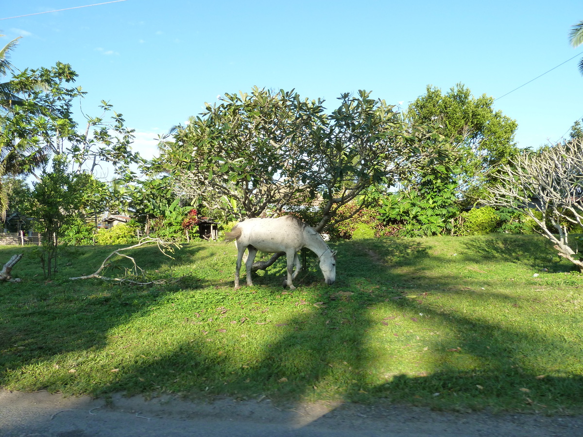 Photo Îles Fidji Nadi à Sigatoka 2010-05 15