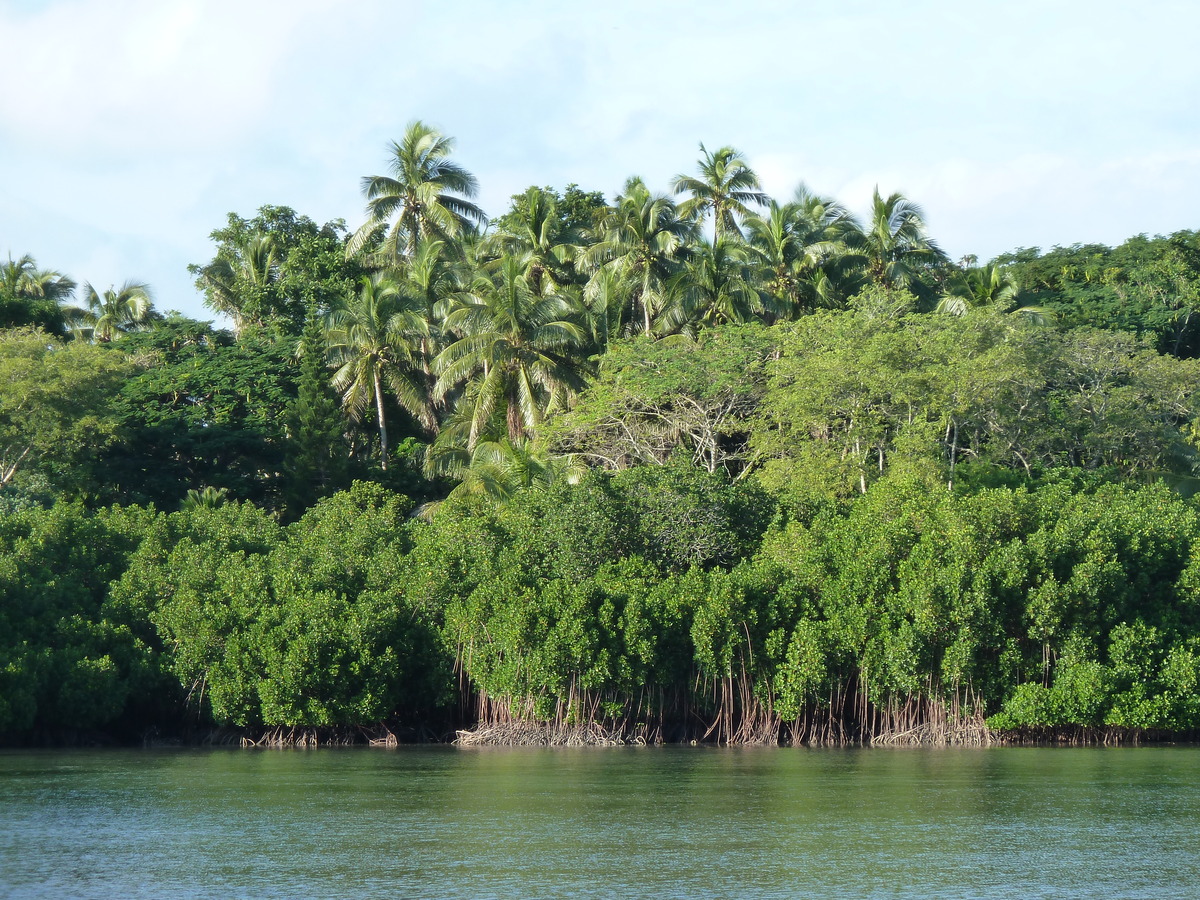 Photo Îles Fidji Nadi à Sigatoka 2010-05 32