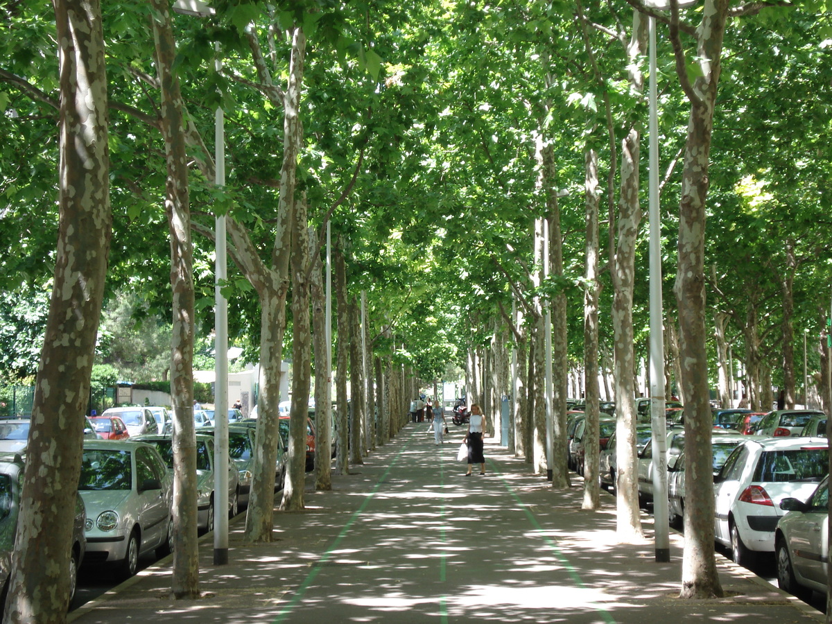 Photo France Montpellier 2006-06 134