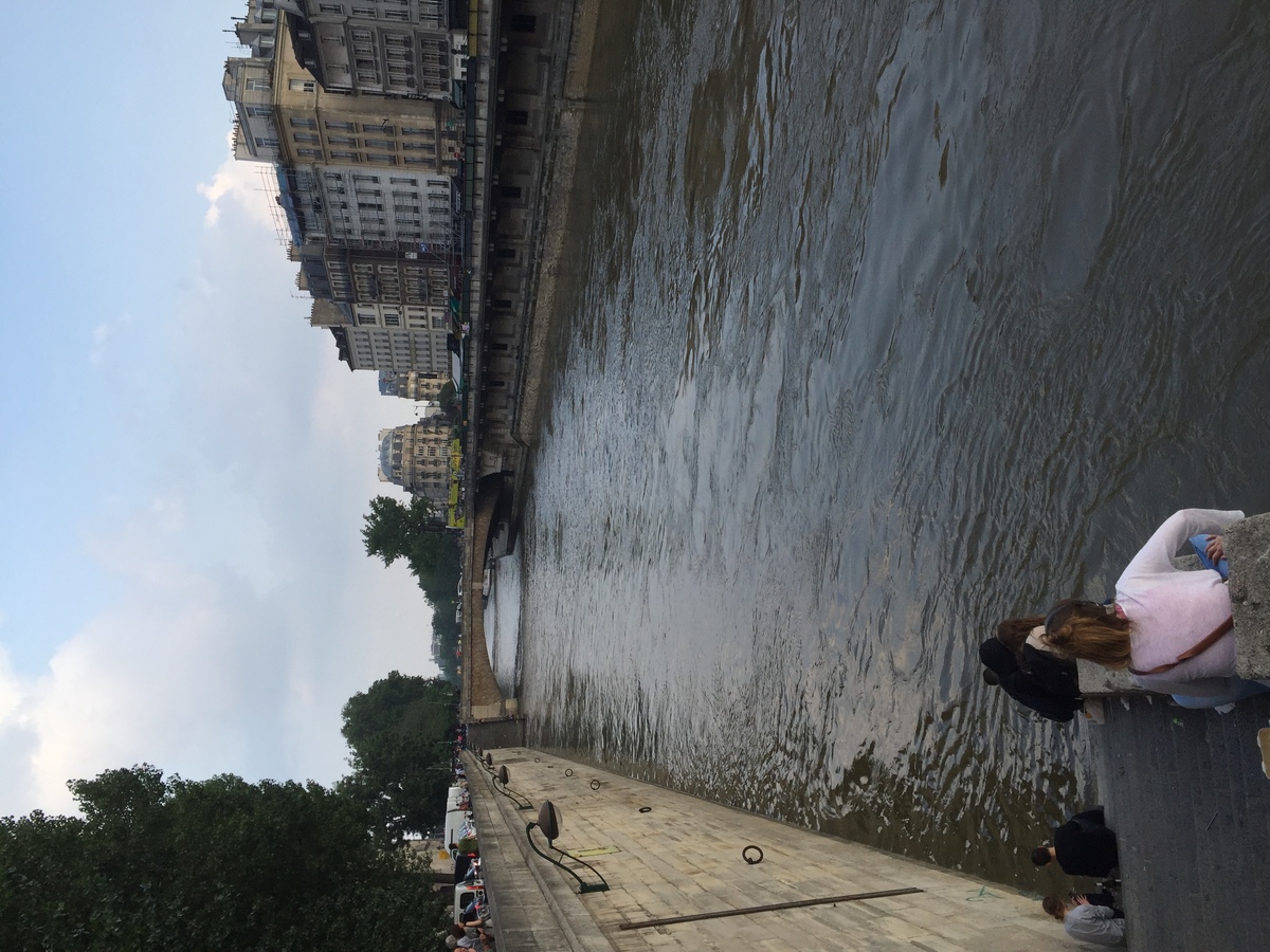 Photo France Paris La Seine 2016-06 30