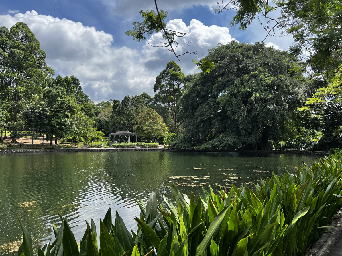Photo Singapour Jardins botaniques de Singapore 2023-01 74