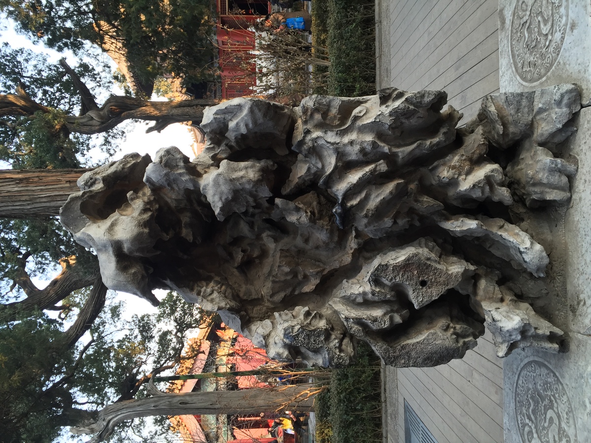Photo Chine Pékin Cité Interdite 2015-12 149