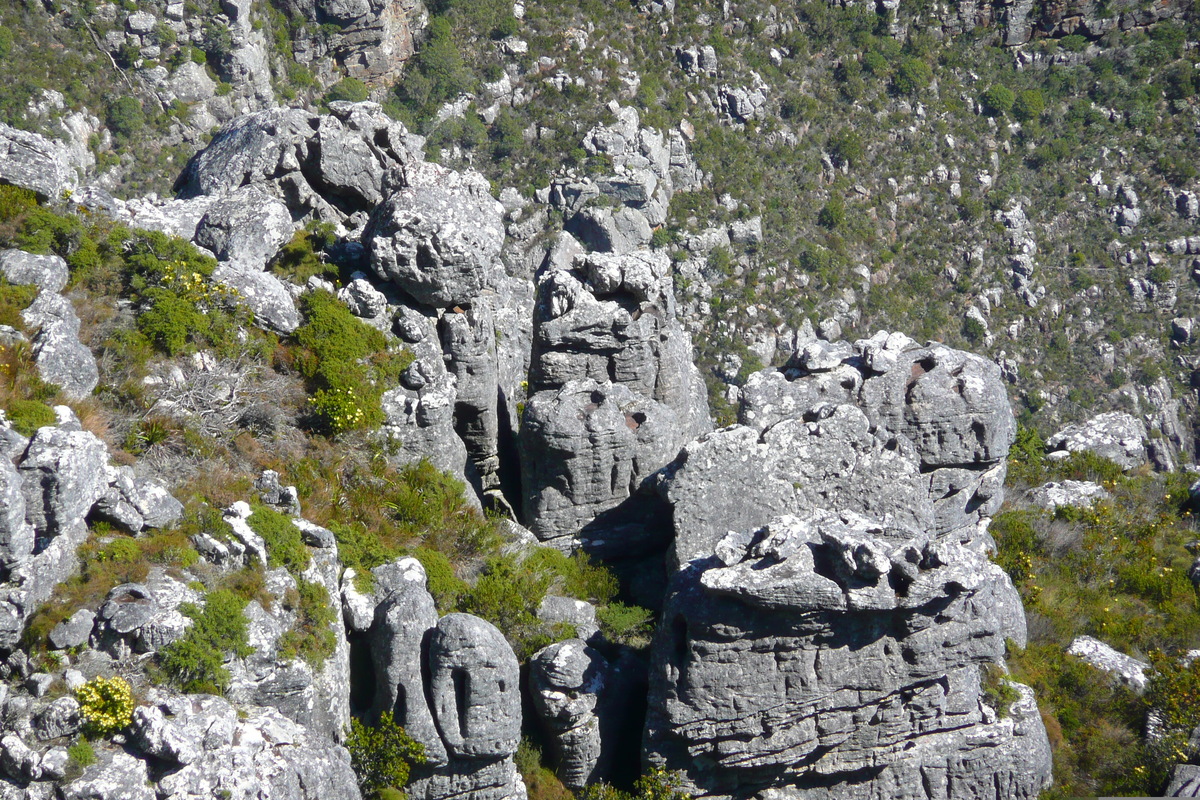 Photo Afrique du Sud Le Cap Montagne de la table 2008-09 37