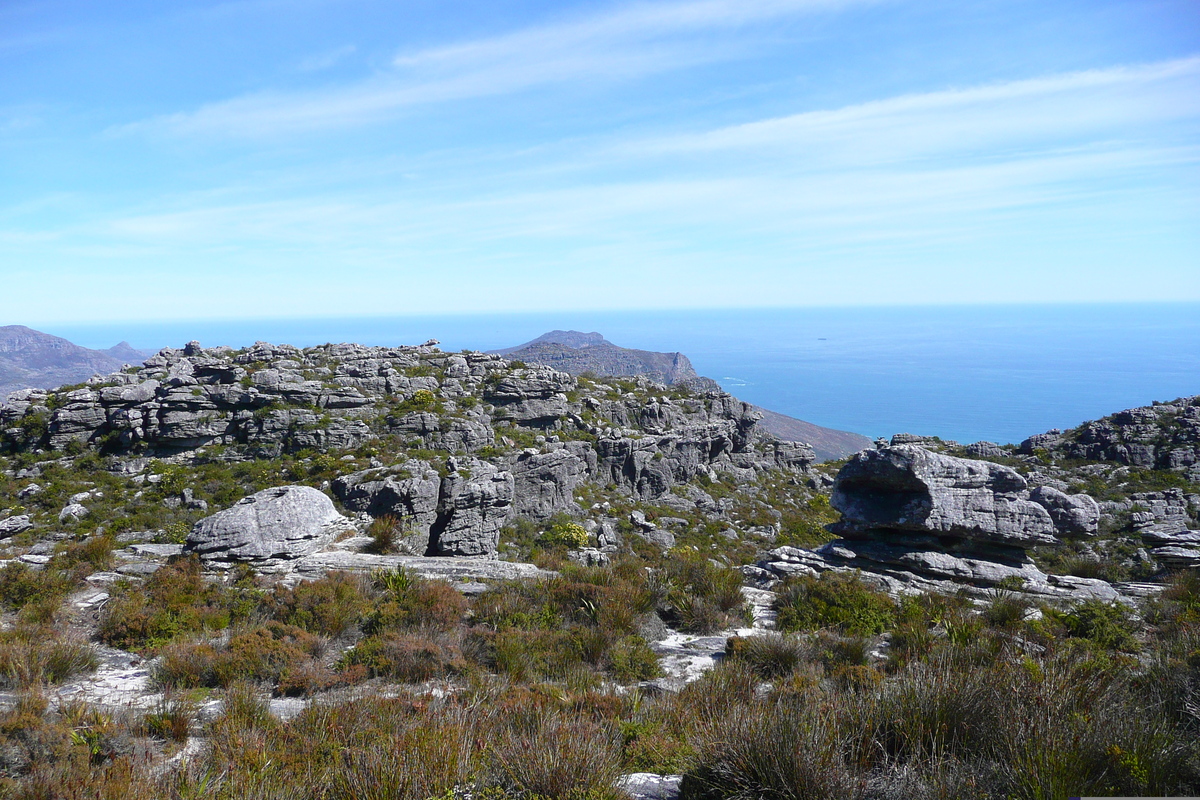 Photo Afrique du Sud Le Cap Montagne de la table 2008-09 84