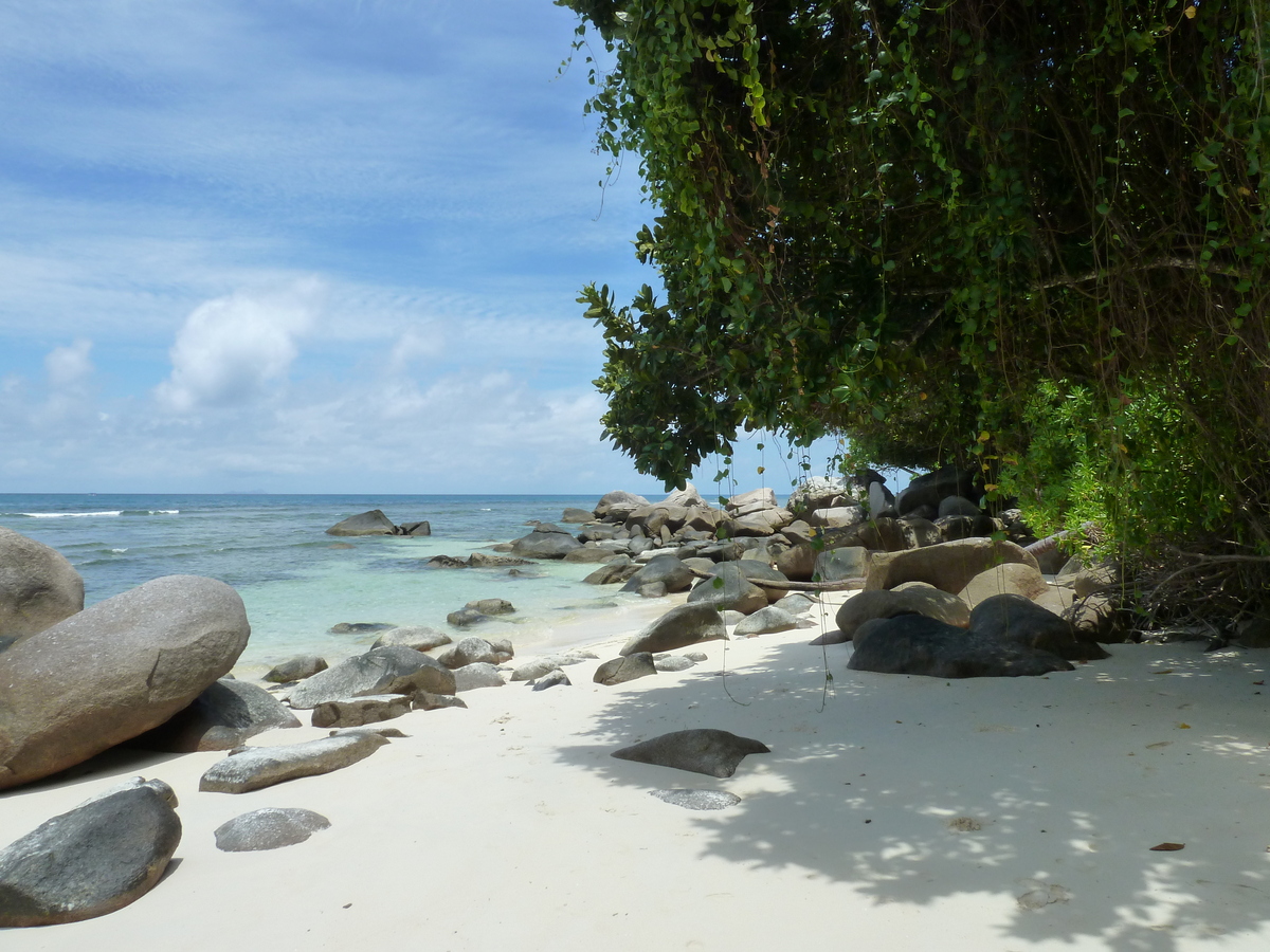 Photo Seychelles 2011-10 26