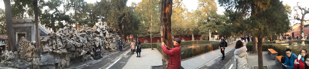 Photo Chine Pékin Cité Interdite 2015-12 91