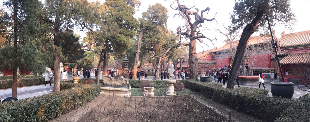 Photo Chine Pékin Cité Interdite 2015-12 98