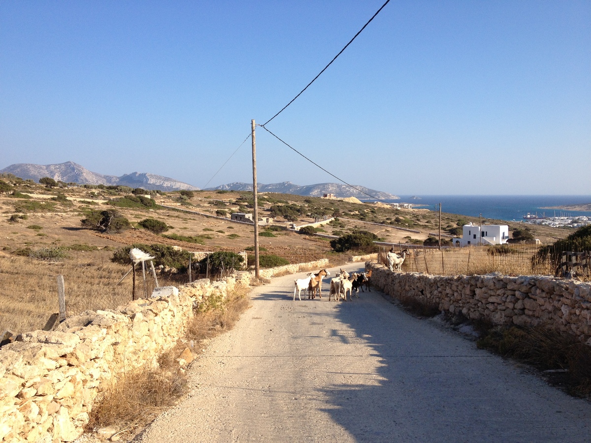 Photo Grèce Koufonissi 2014-07 44