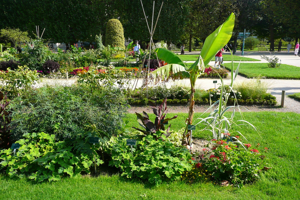 Photo France Paris Jardin des Plantes 2007-08 126