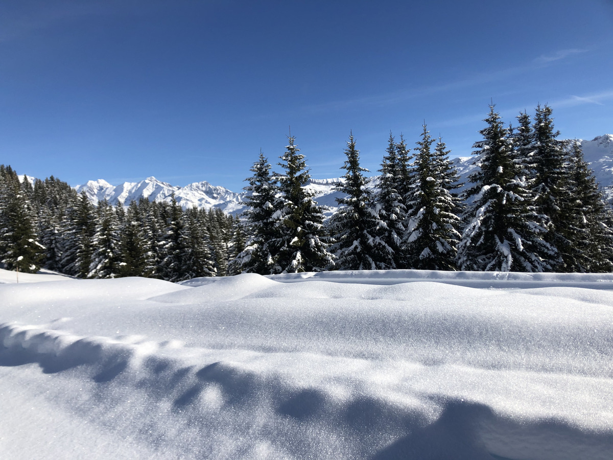 Photo France Praz sur Arly 2019-12 81