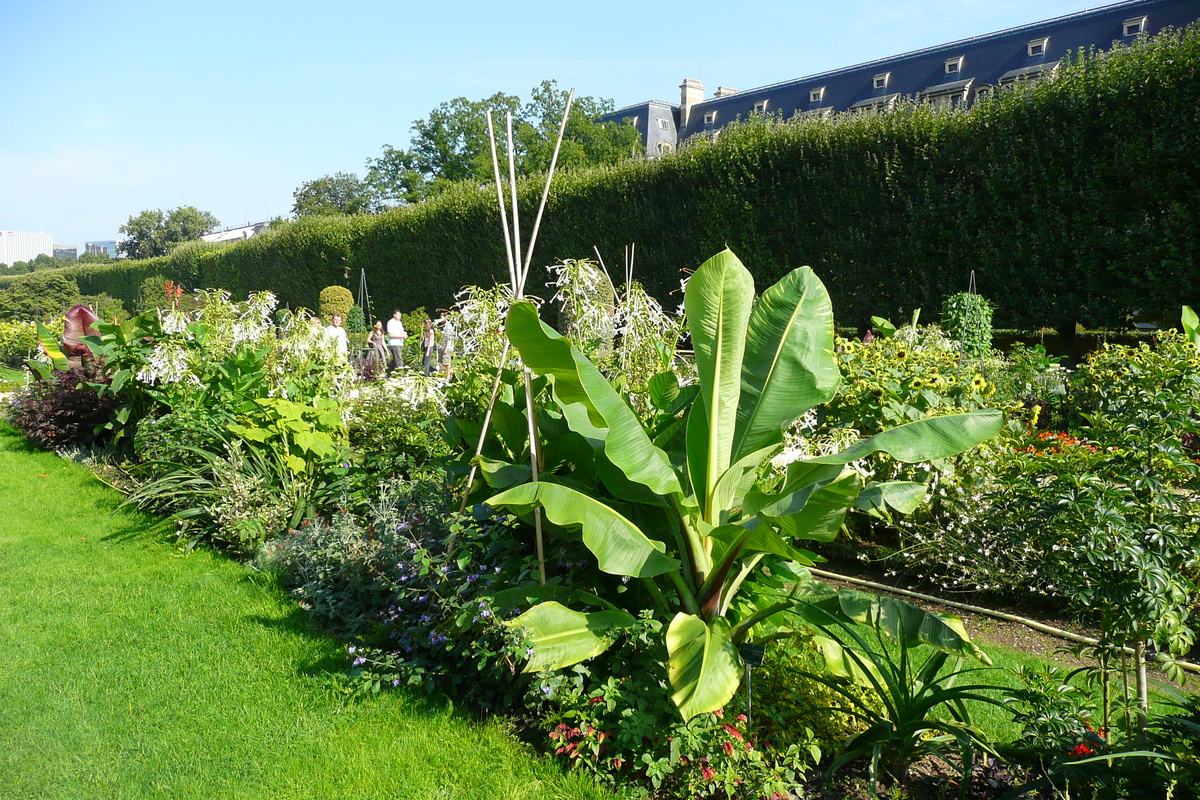 Photo France Paris Jardin des Plantes 2007-08 229