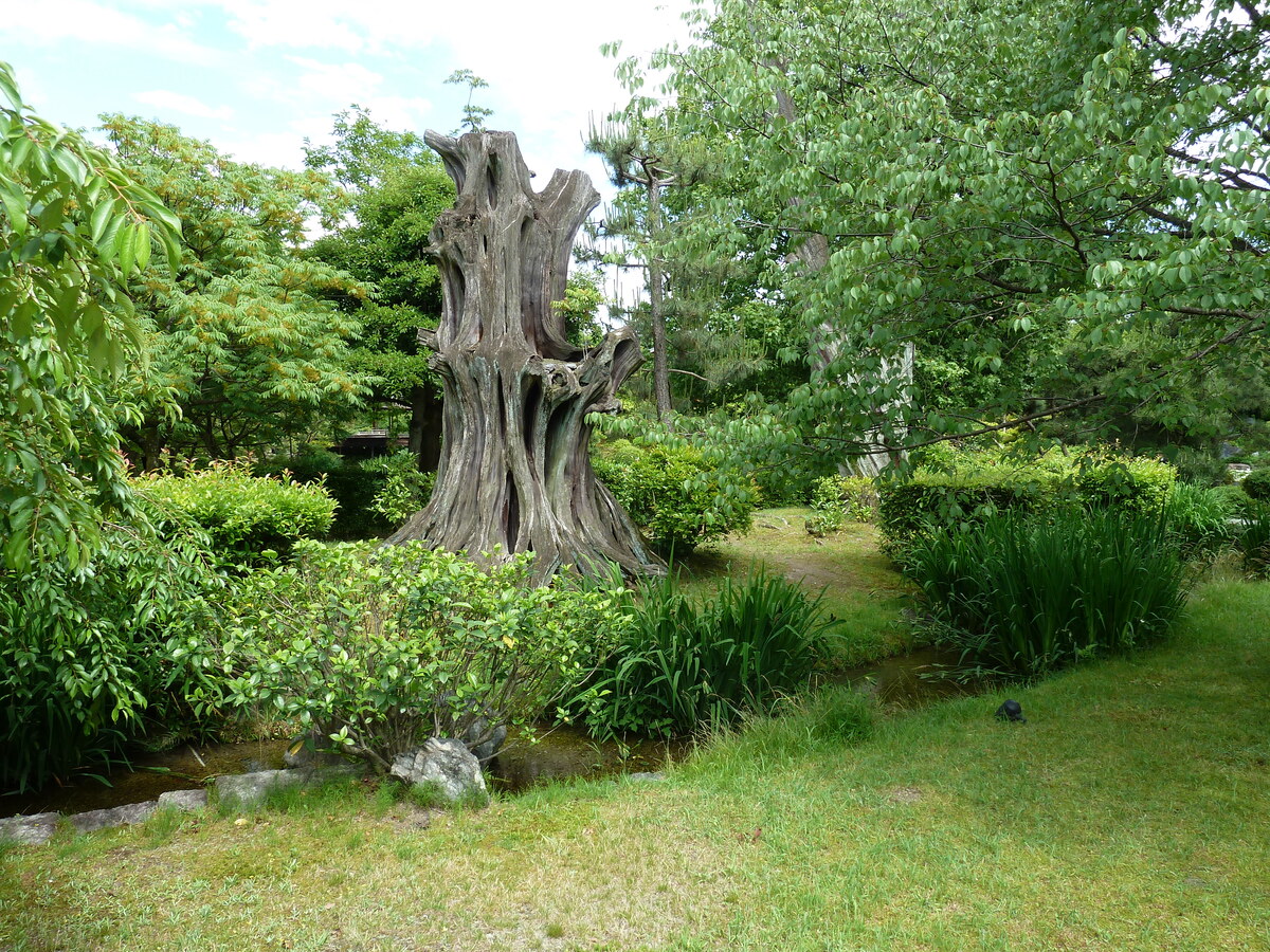 Photo Japon Kyoto Jardin Shosei en 2010-06 1