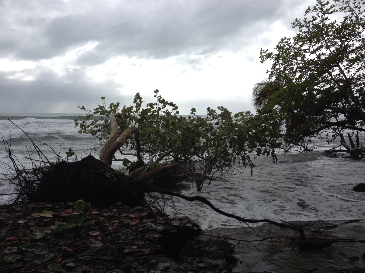 Photo Costa Rica Cahuita 2015-03 172