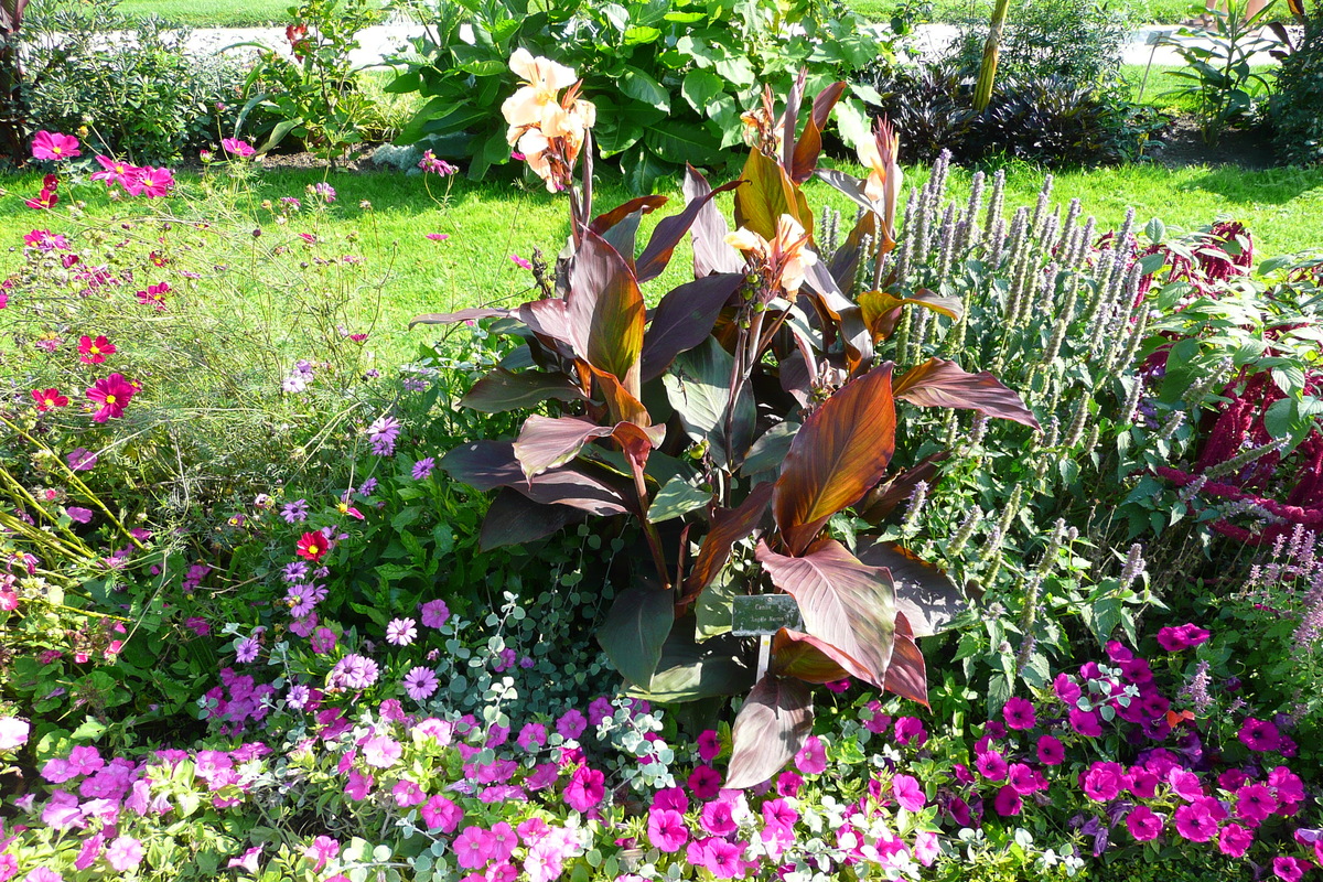 Photo France Paris Jardin des Plantes 2007-08 224