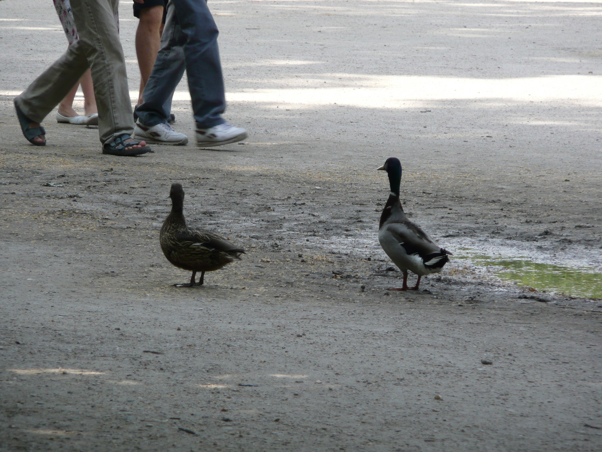 Photo France Paris Jardin des Tuileries 2007-05 358