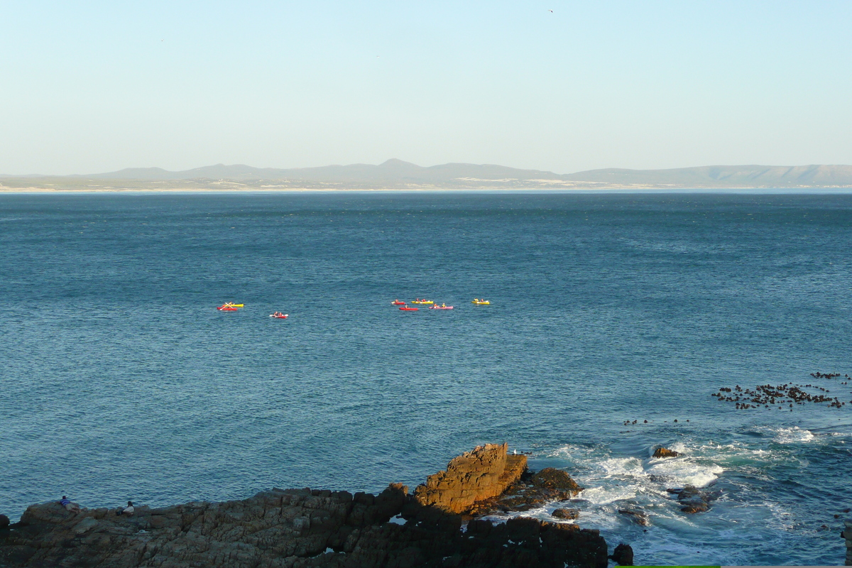Photo Afrique du Sud Harmanus 2008-09 152