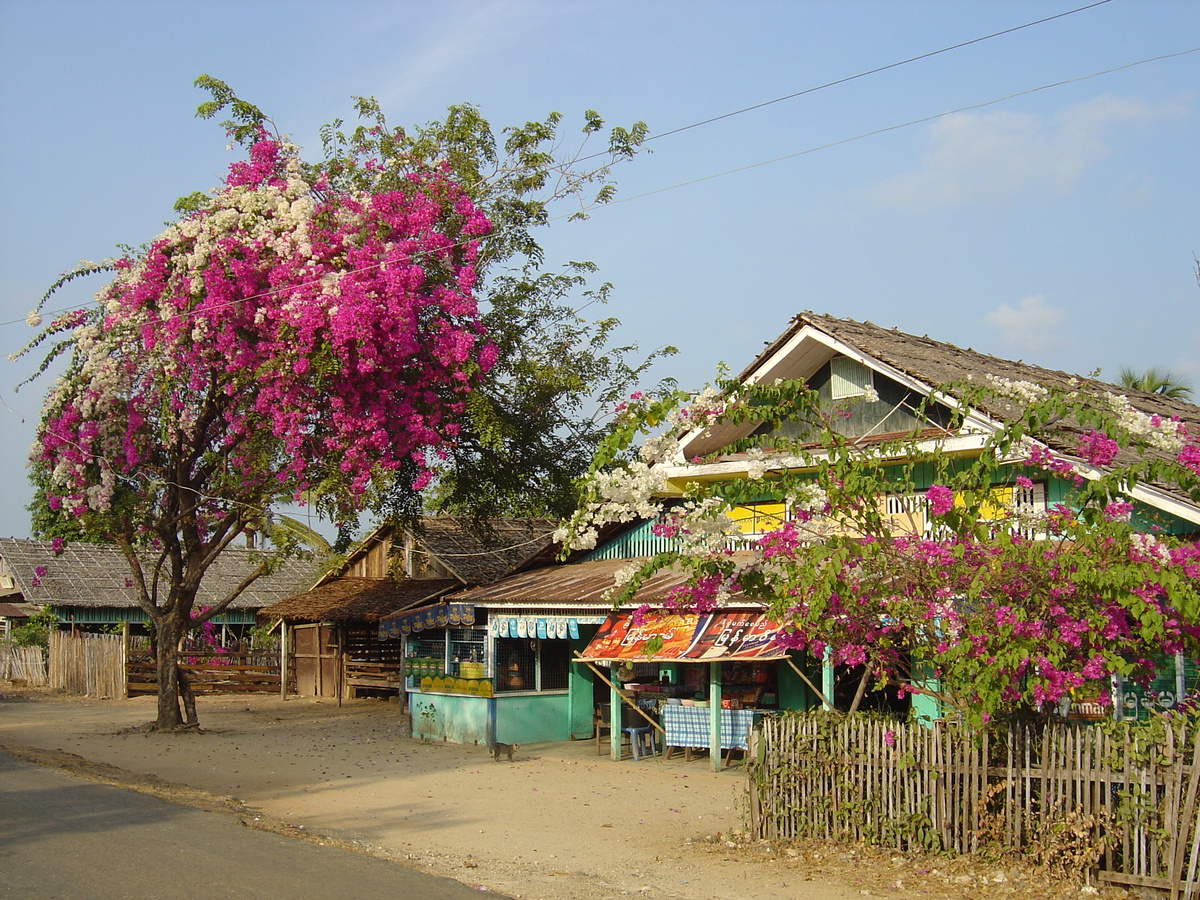 Photo Birmanie (Myanmar) Plage de Maungmagan 2005-01 43