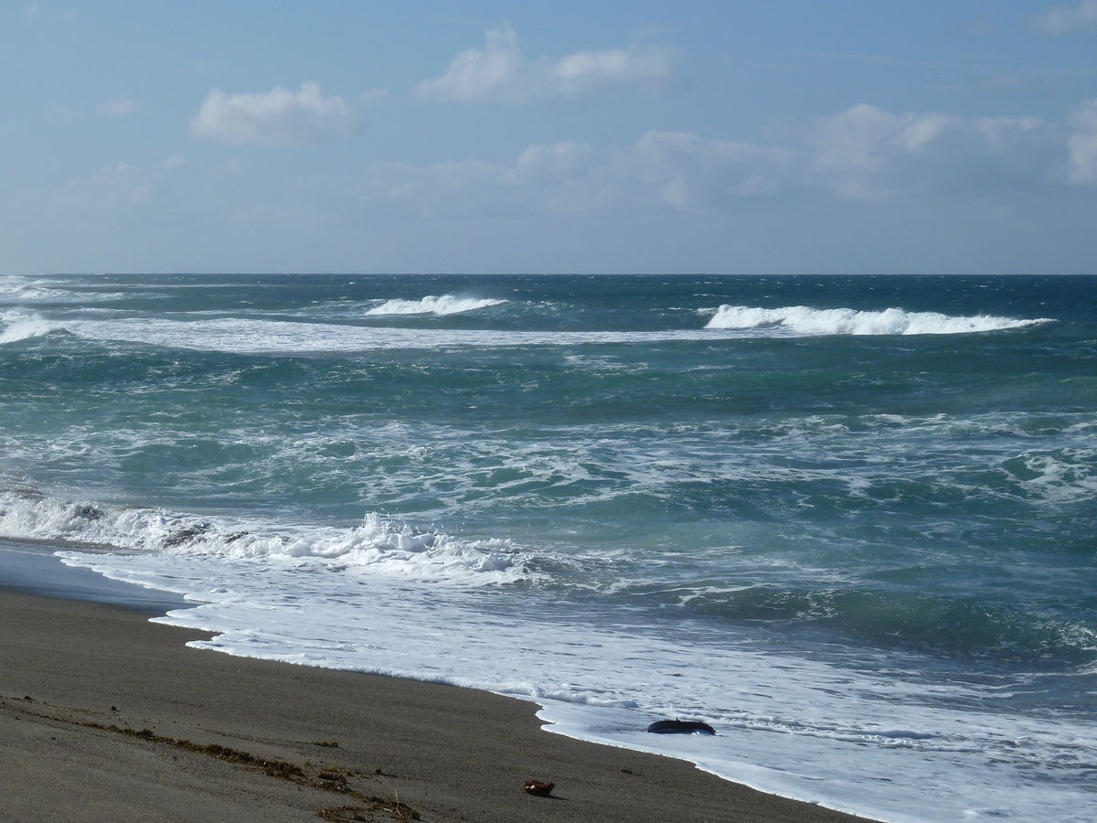 Photo Îles Fidji Parc des dunes de Sigatoka 2010-05 2