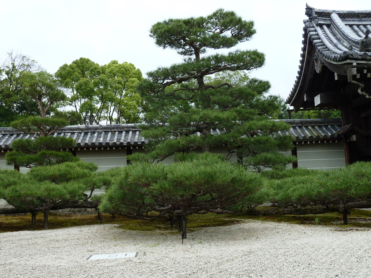 Photo Japon Kyoto résidence impériale Ninna ji 2010-06 22