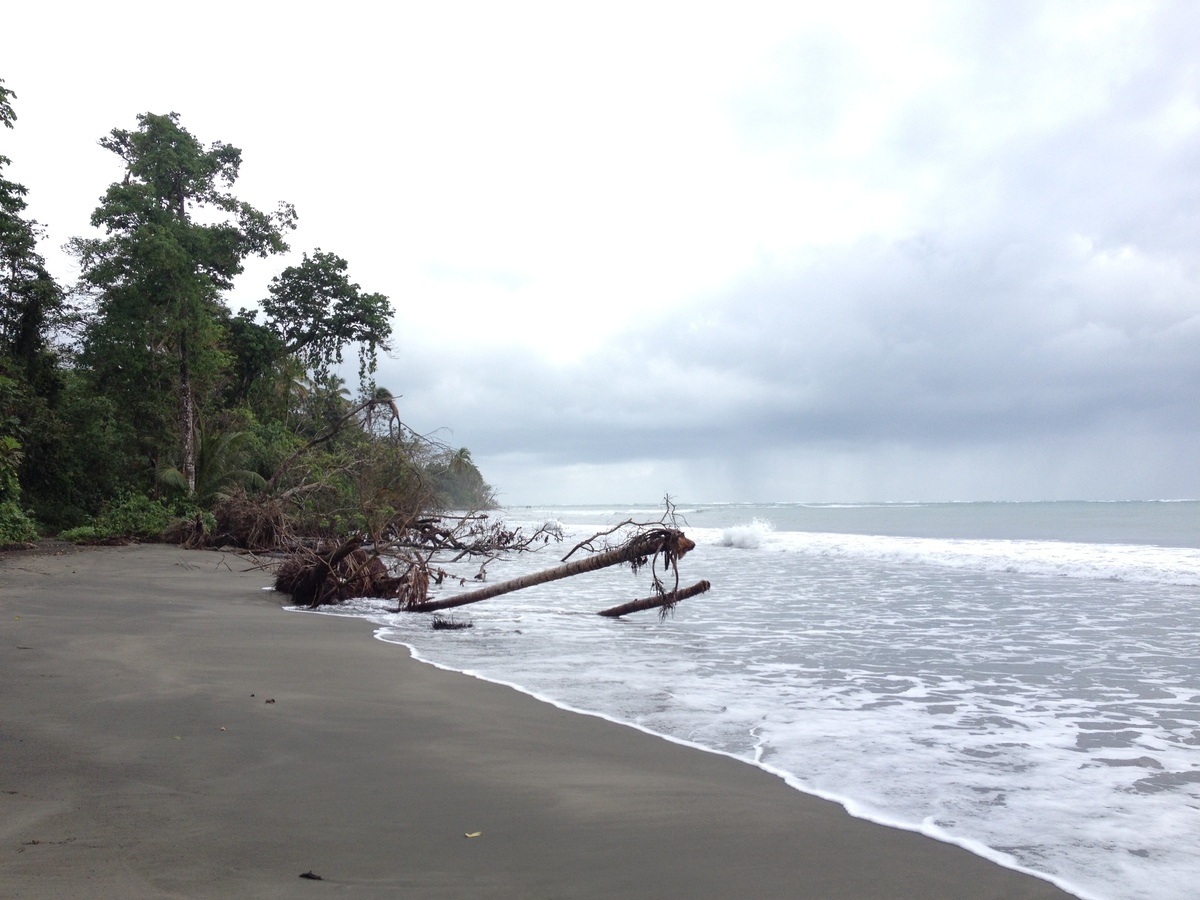 Photo Costa Rica Cahuita 2015-03 171