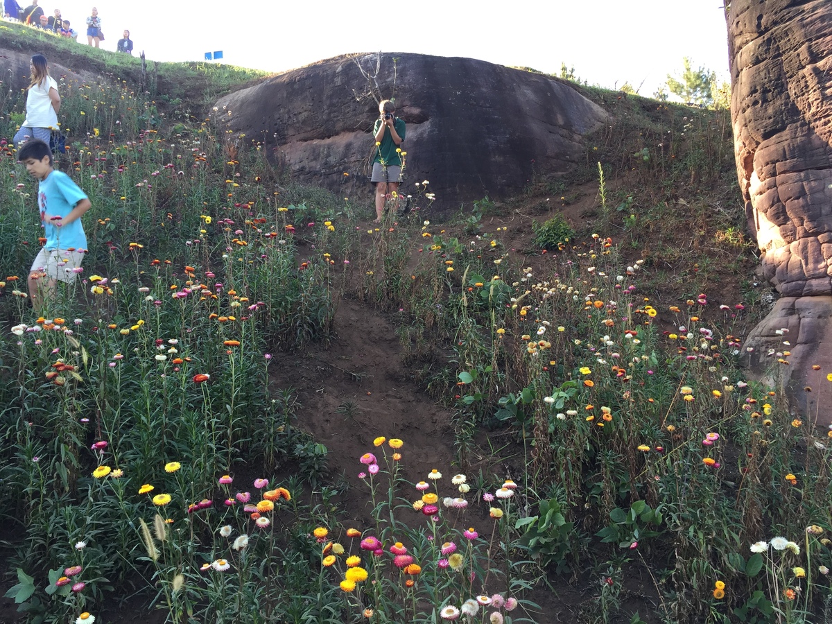 Photo Thaïlande Parc National Phu Hin Rong Kla 2014-12 306