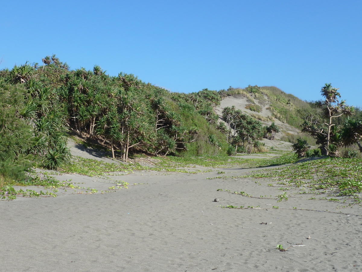 Photo Îles Fidji Parc des dunes de Sigatoka 2010-05 36