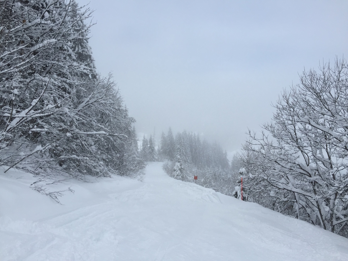 Photo France Megève 2016-02 77