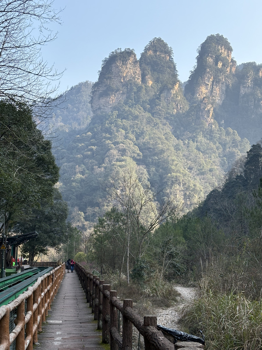 Photo Chine Zhangjiajie Mont Tianzi 2026-01 344