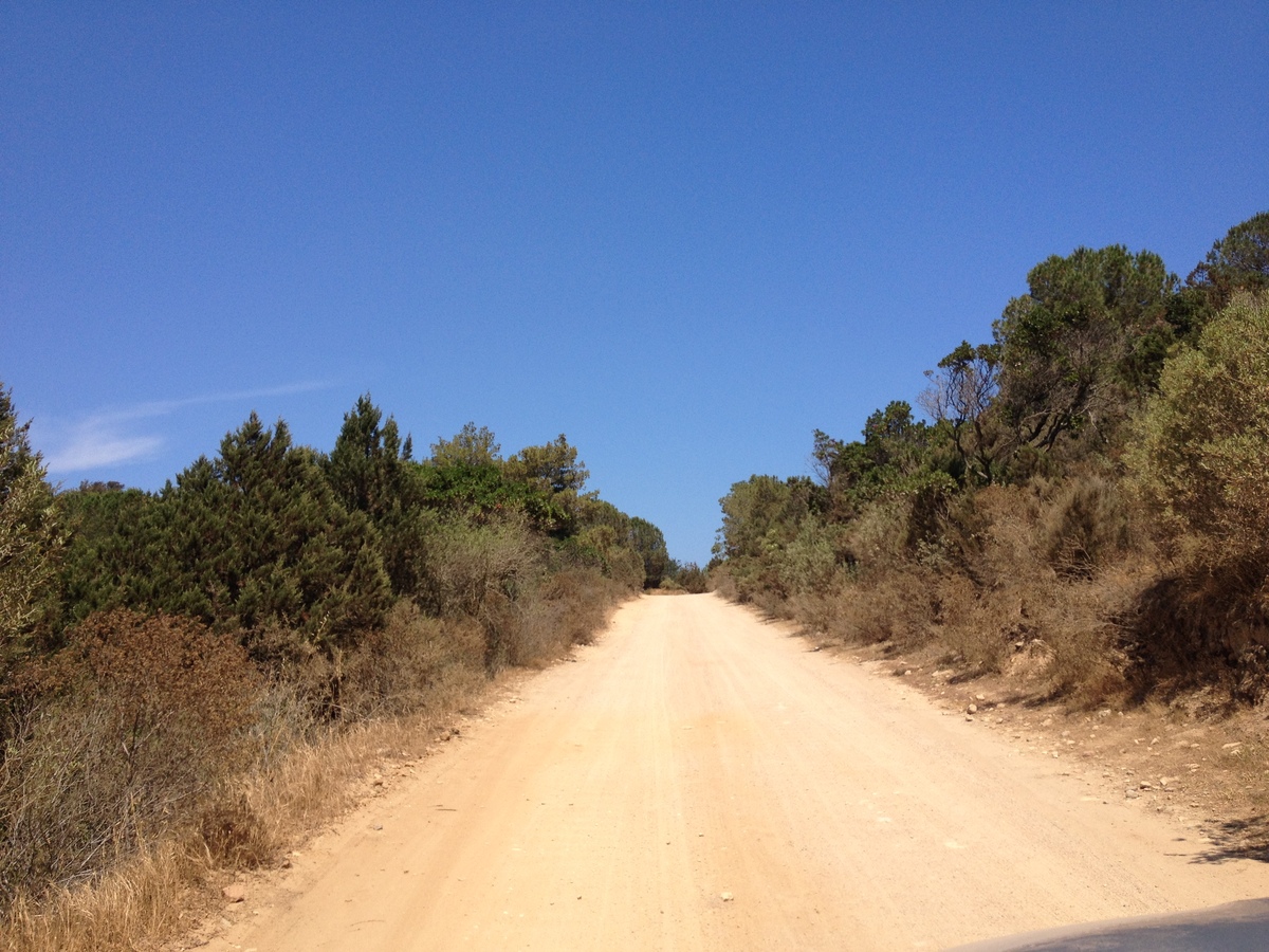 Photo Italie Sardaigne Capo Coda Cavallo 2015-06 9