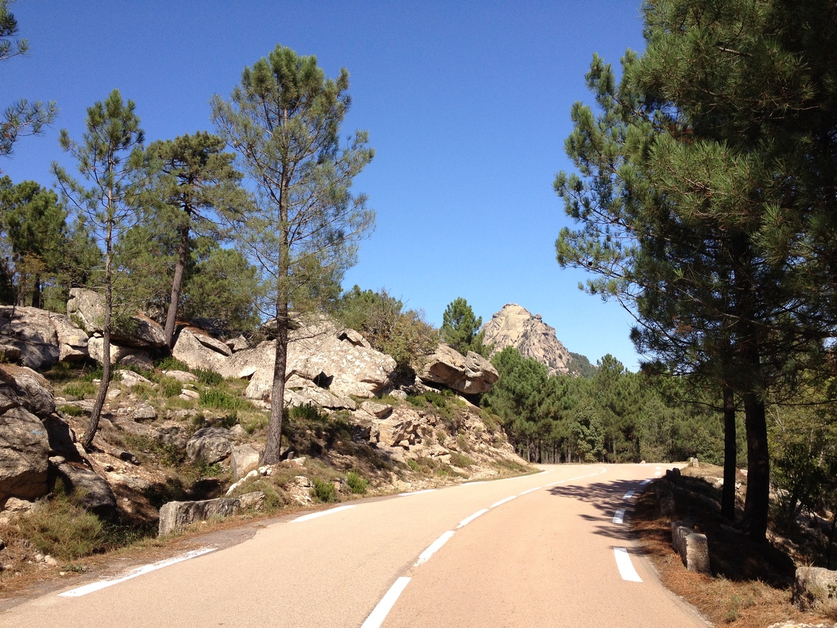 Photo France Corse Forêt de l'Ospedale 2012-09 8