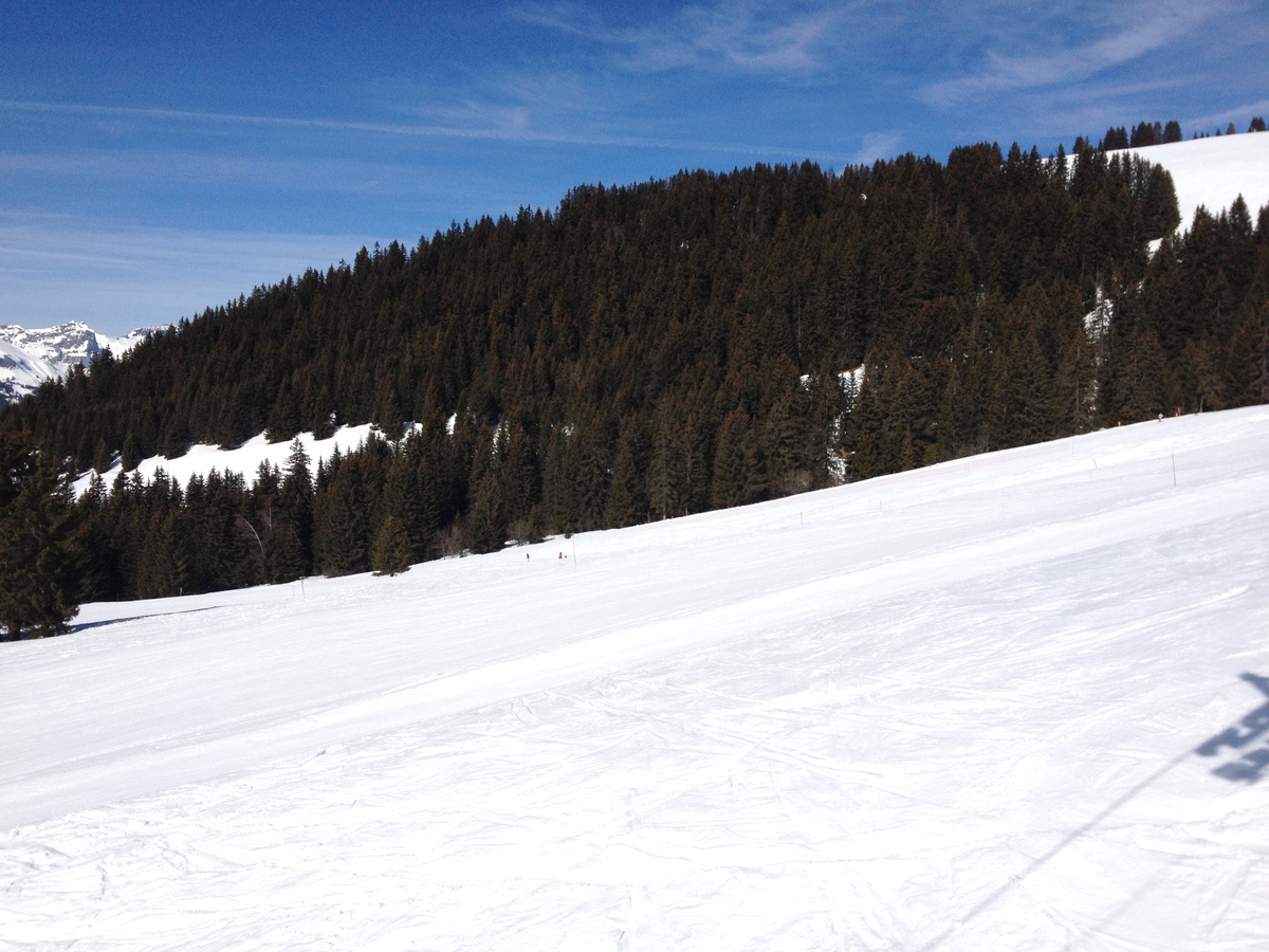 Photo France Megève Mont d'Arbois 2012-02 0