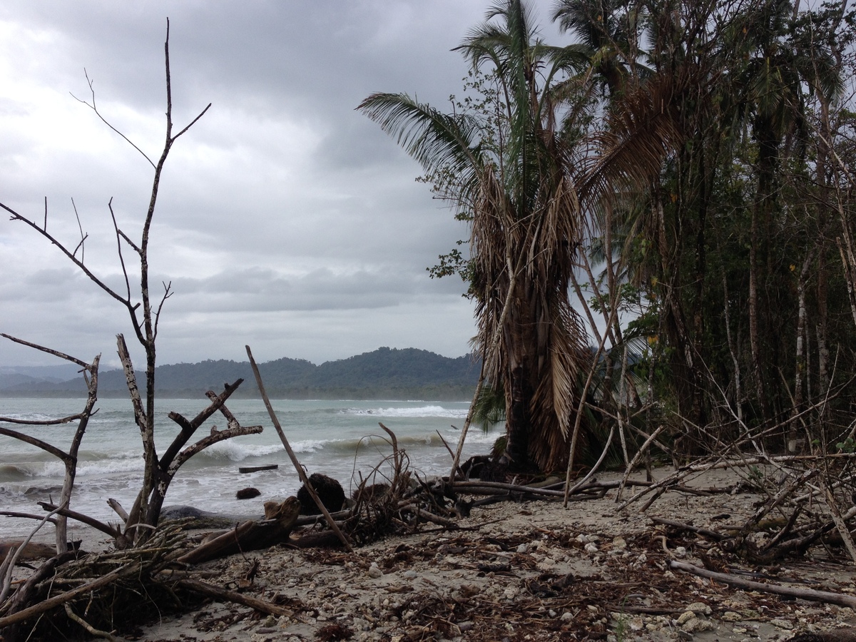 Photo Costa Rica Cahuita 2015-03 204