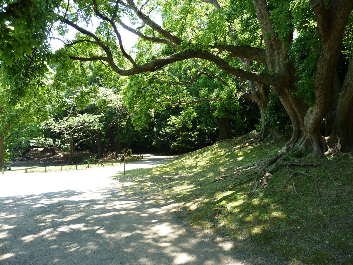 Photo Japon Tokyo Jardins Hama rikyu 2010-06 31