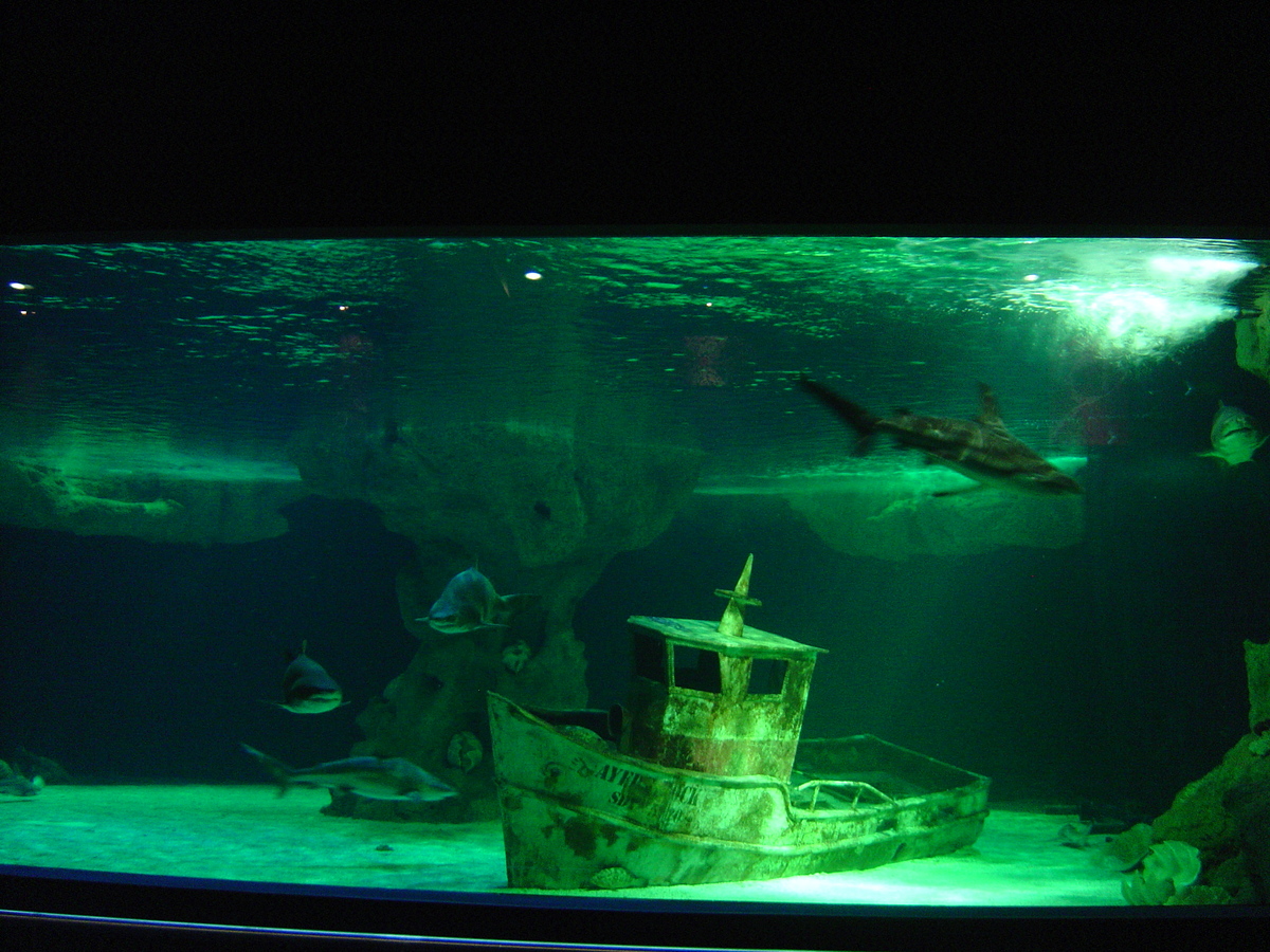Photo France Le Croisic 2004-08 31