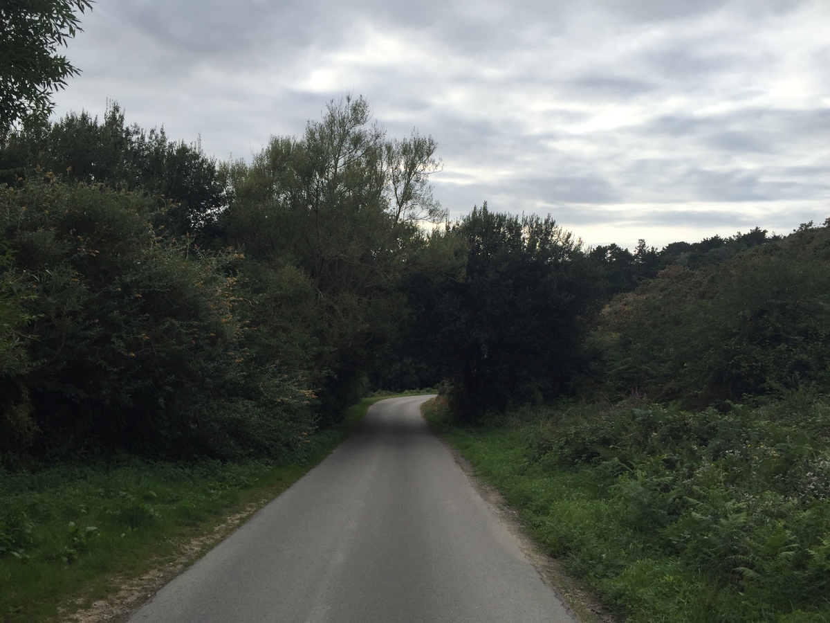 Photo France Belle-Ile 2016-08 135