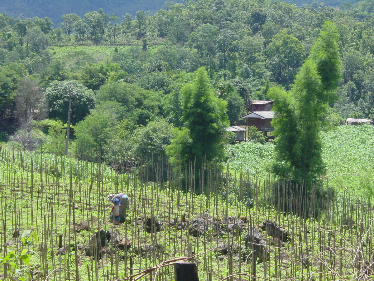 Photo Thaïlande Mae Hong Son 2003-07 98