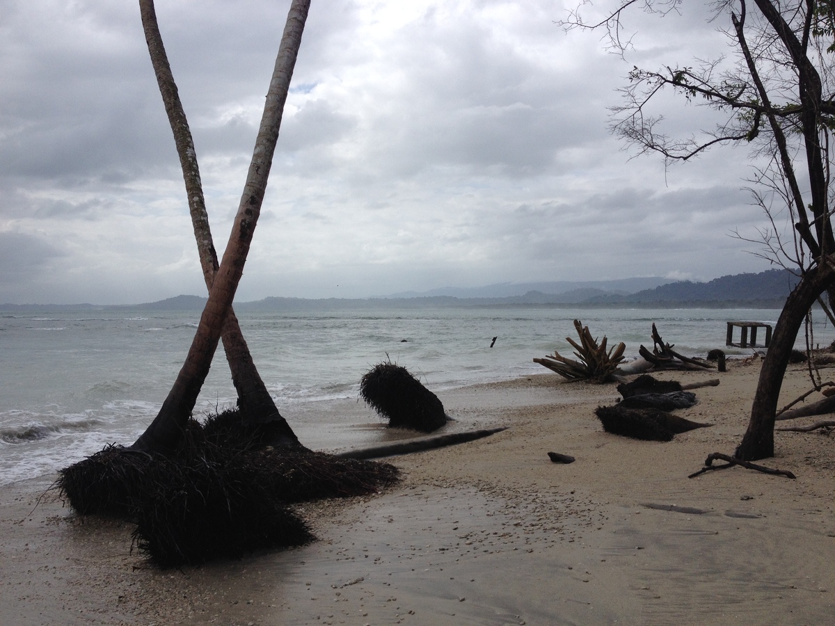 Photo Costa Rica Cahuita 2015-03 7