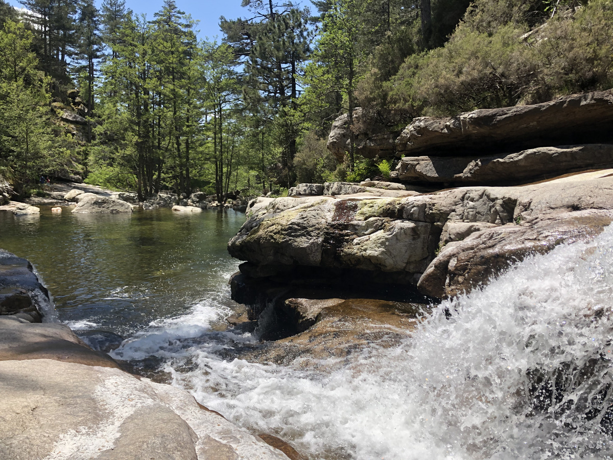 Photo France Corse Forêt d'Aïtone 2021-06 31