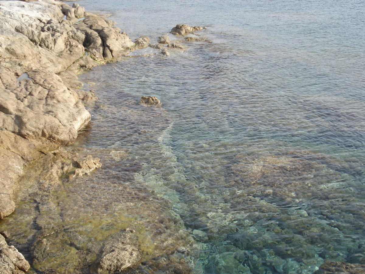 Photo France Corse Lumio 2006-09 40