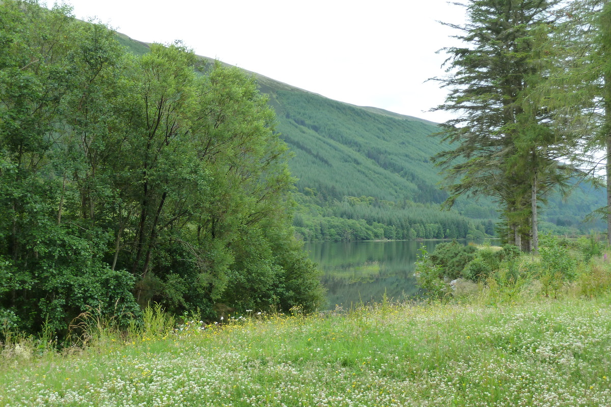 Photo Royaume-Uni Écosse Route du Loch Laggan au Loch Ness 2011-07 15