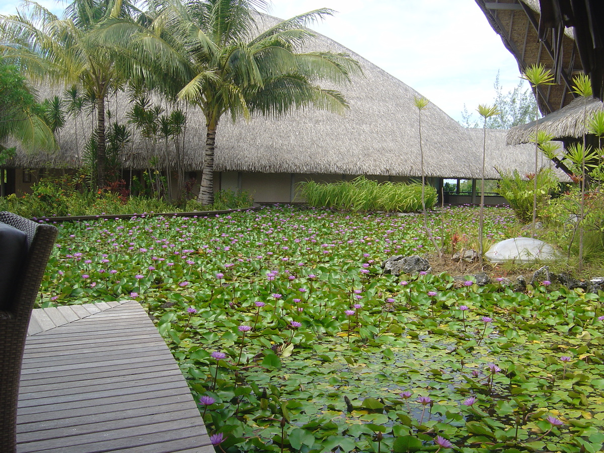 Photo Polynésie Hotel Meridien Bora Bora 2006-04 147