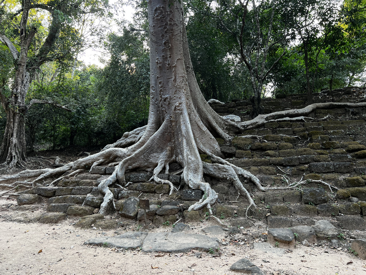 Photo Cambodge Siem Reap Angkor Thom 2023-01 19