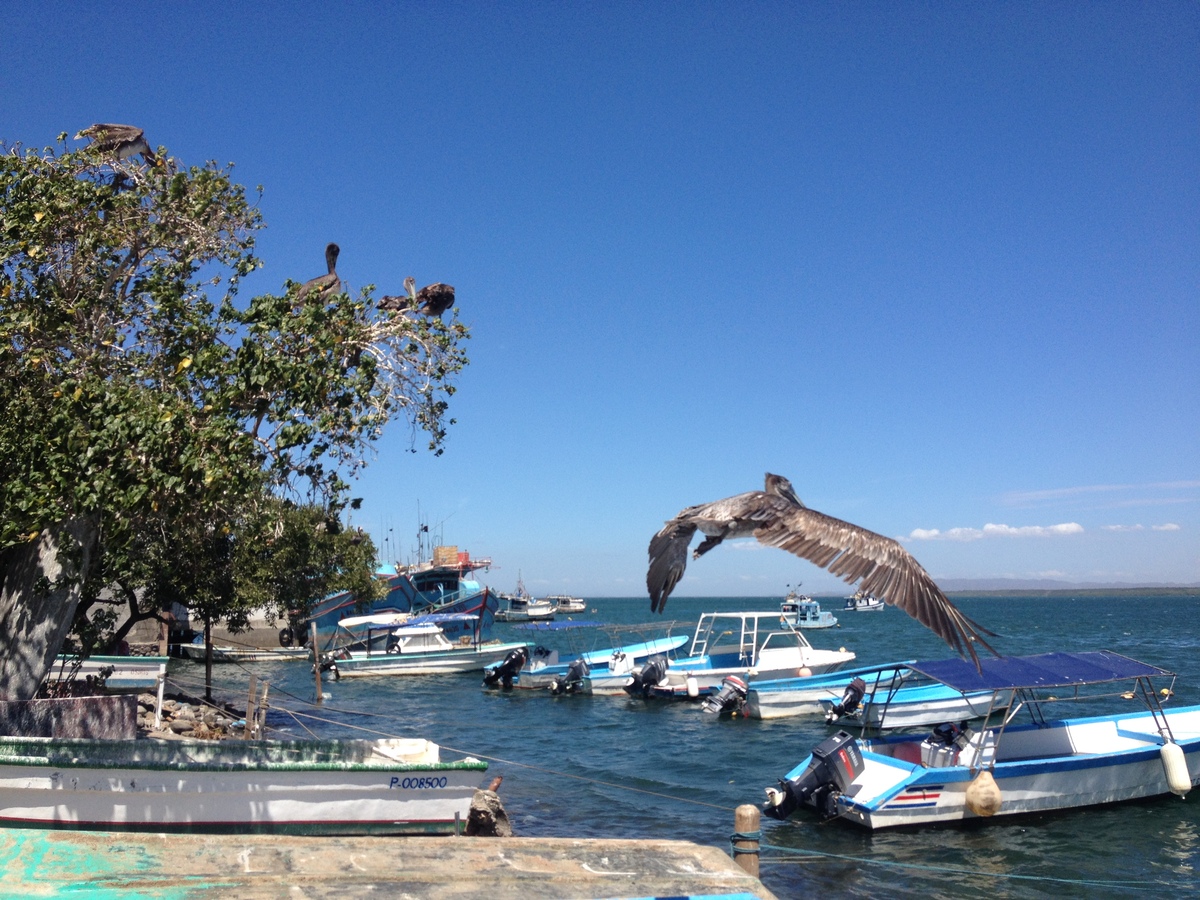 Photo Costa Rica Puntarenas 2015-03 60