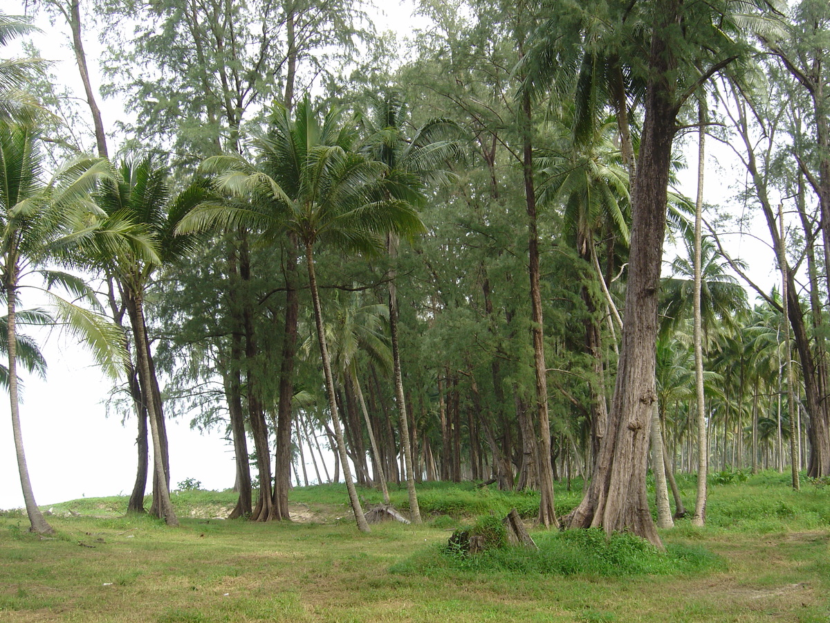 Photo Thaïlande Khao Lak Bang Sak Beach 2005-12 40