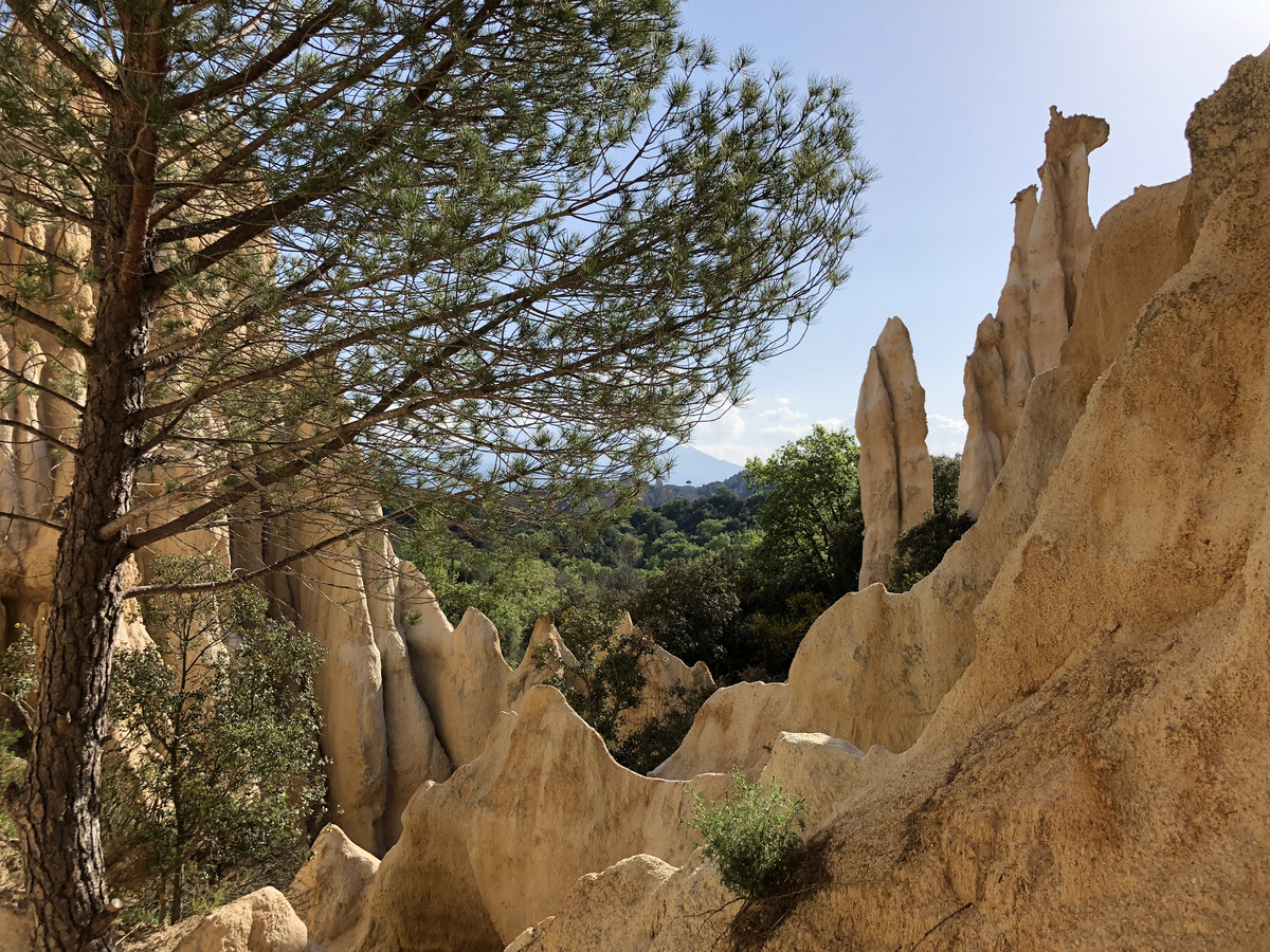 Photo France Orgues d'Ille Sur Tet 2018-04 10