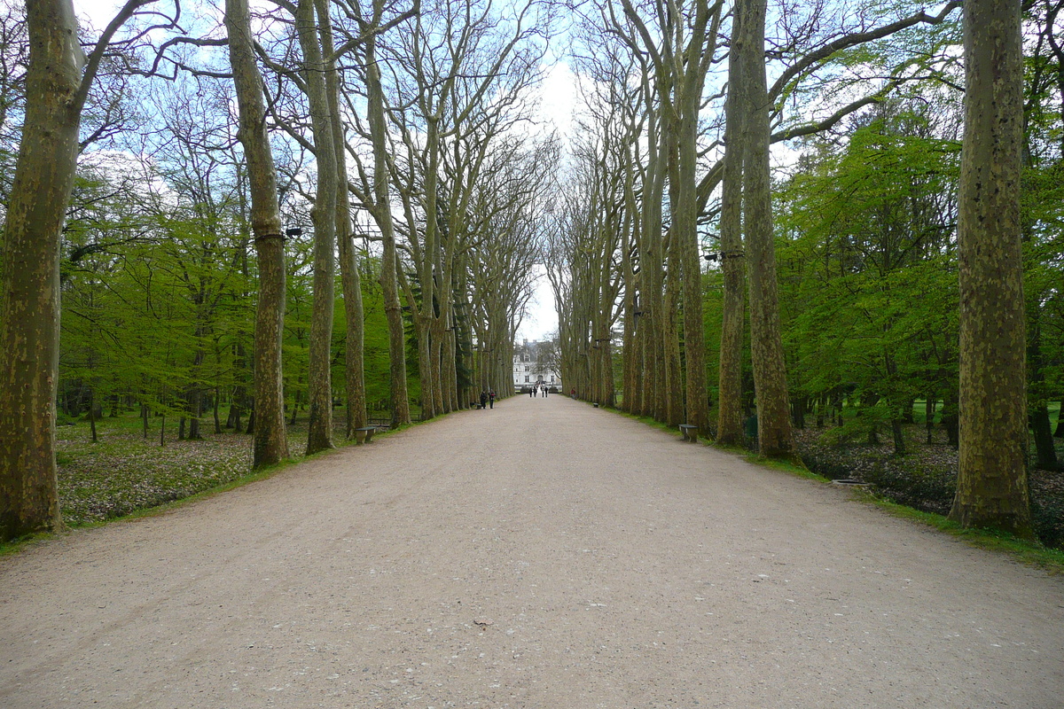 Photo France Château de Chenonceau Jardins de Chenonceau 2008-04 53