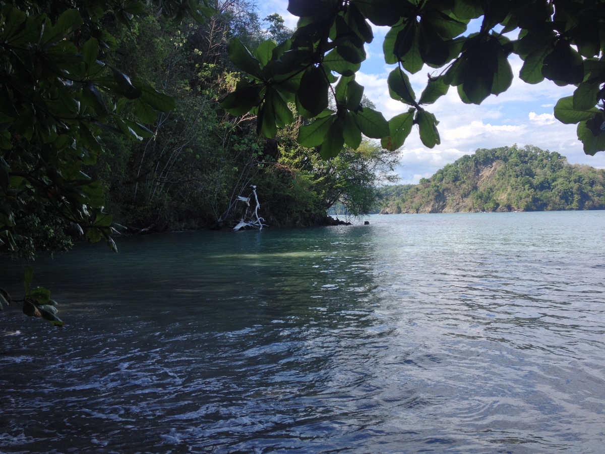 Photo Costa Rica Parc Manuel Antonio 2015-03 381
