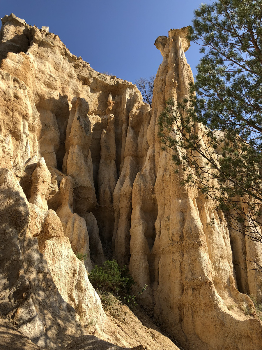 Photo France Orgues d'Ille Sur Tet 2018-04 18