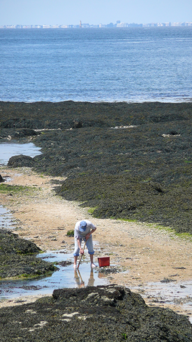 Photo France Préfailles La pointe Saint Gildas à La Pree 2007-08 27
